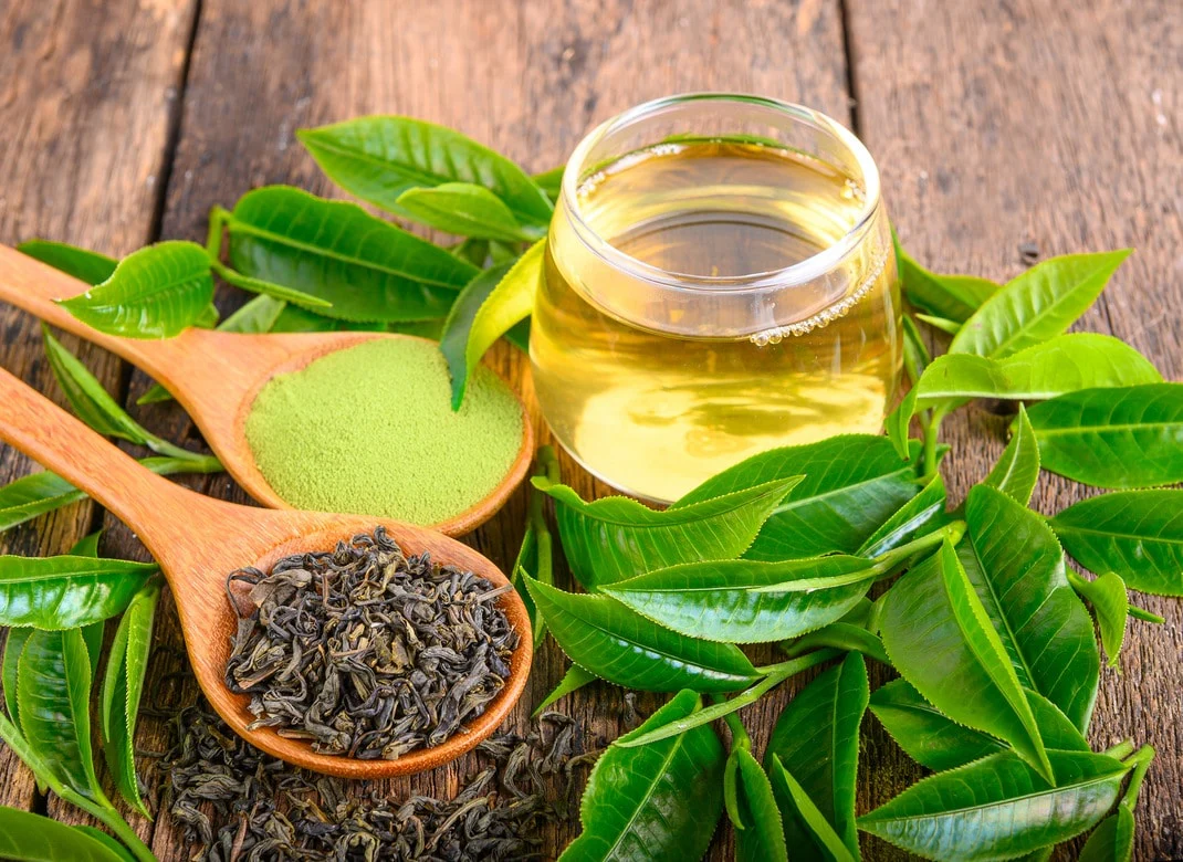 TÉ VERDE